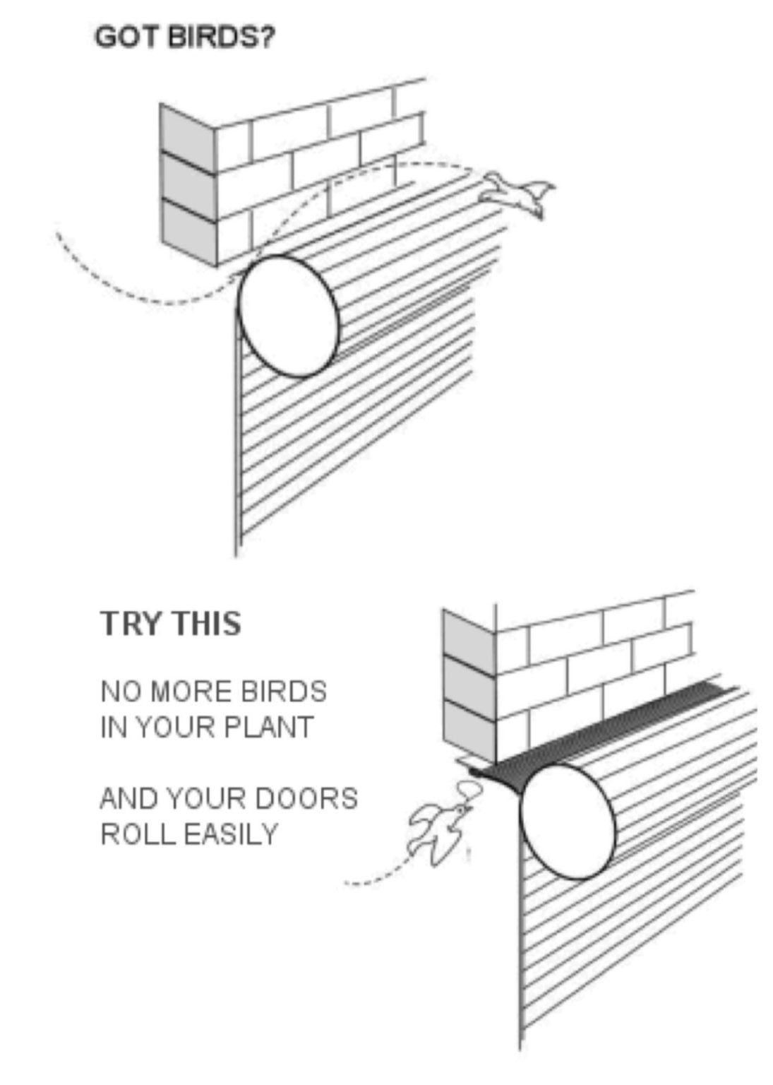 Roller Garage Door Bird and weather brush seal