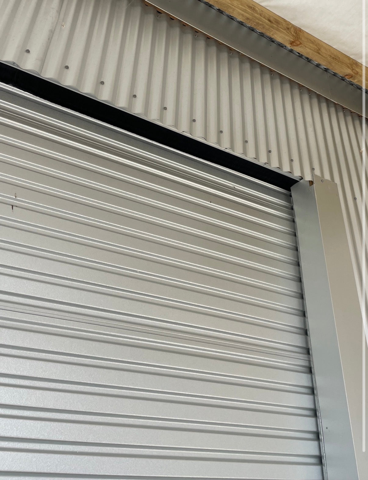 Roller Garage Door Bird and weather brush seal